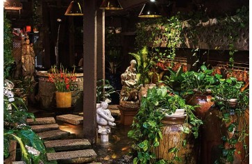 Thiết kế quán cà phê sân vườn: Nghệ thuật tạo không gian thư giãn và kết nối với thiên nhiên