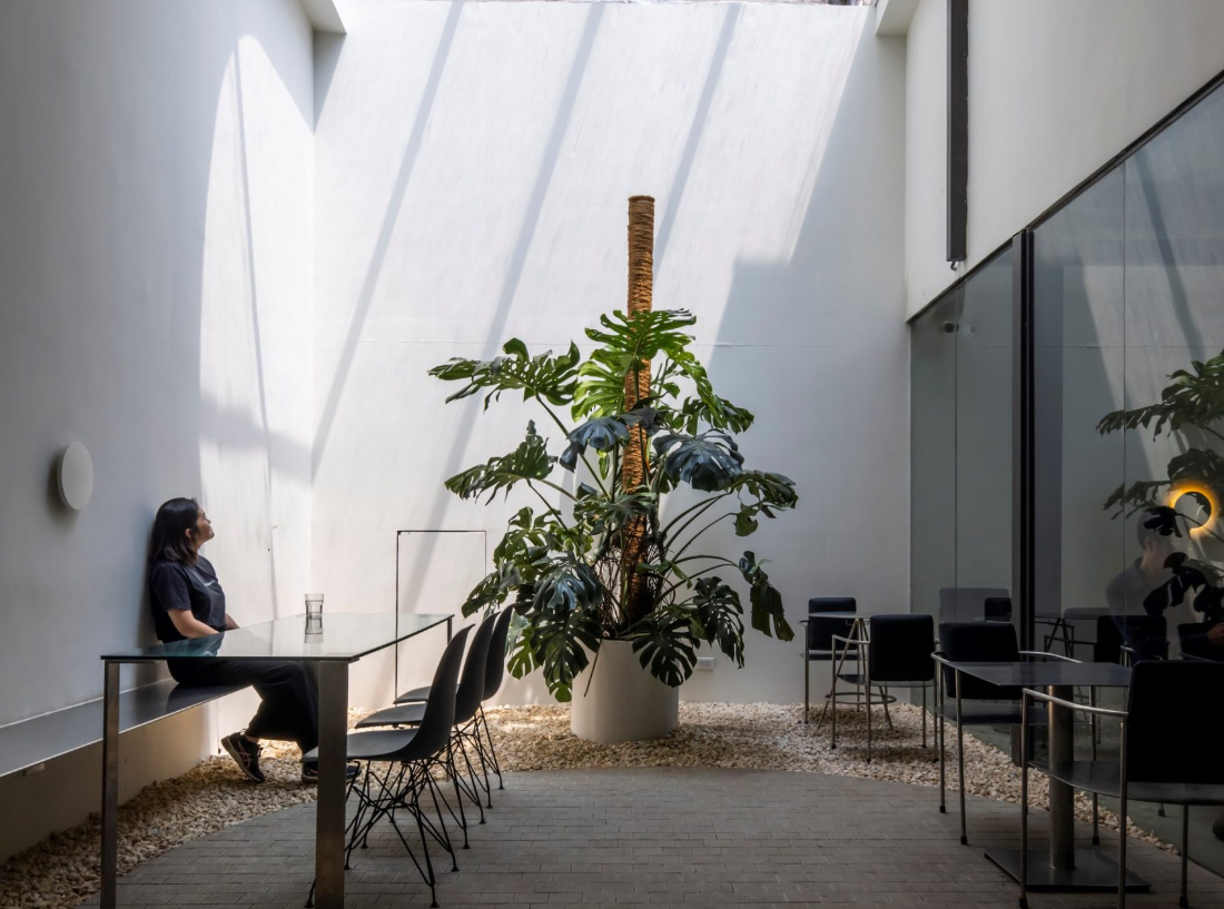 ánh sáng tự nhiên trong thiết kế quán cafe