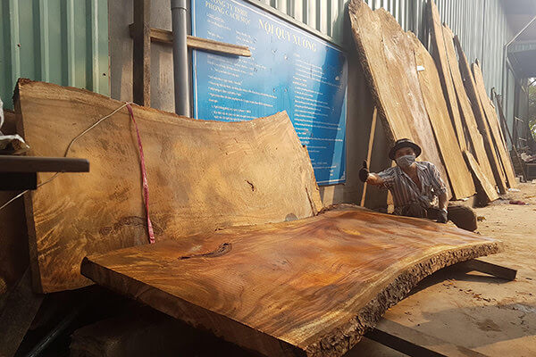 xử lý nguyên liệu gỗ nhập khẩu tại xưởng